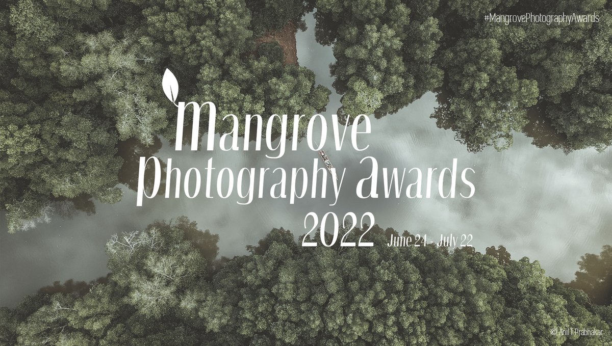 Give it your best shot! Submit your best mangrove photos to the #MangrovePhotographyAwards and be a part of a mission to raise awareness of the importance of #mangroves! Find out more and submit here: photography.mangroveactionproject.org