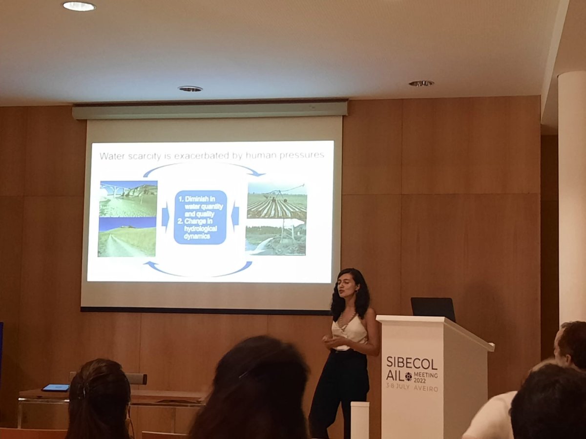 ICRA (@icrawater) on Twitter photo Investigadors de l'àrea RiE d'#ICRA participen a <a href="/AilMeeting/">SIBECOL AIL Meeting 2022</a>. I demà el nostre sotsdirector <a href="/SabaterSergi/">sergi sabater</a> serà reconegut amb el premi a la Trajectòria científica <a href="/AIL_limnologia/">AIL Limnología</a>. Molt orgullosos del nostre equip 💪 <a href="/PGabrielaCor/">Gabriela Córdoba</a> @Annafreixa <a href="/dhenrypinilla/">Dani Henry</a> <a href="/dayanajarma/">Dayana Jarma</a>
Som <a href="/iCERCA/">Centres CERCA</a> Investigadors de l'àrea RiE d'#ICRA participen a <a href="/AilMeeting/">SIBECOL AIL Meeting 2022</a>. I demà el nostre sotsdirector <a href="/SabaterSergi/">sergi sabater</a> serà reconegut amb el premi a la Trajectòria científica <a href="/AIL_limnologia/">AIL Limnología</a>. Molt orgullosos del nostre equip 💪 <a href="/PGabrielaCor/">Gabriela Córdoba</a> @Annafreixa <a href="/dhenrypinilla/">Dani Henry</a> <a href="/dayanajarma/">Dayana Jarma</a>
Som <a href="/iCERCA/">Centres CERCA</a>