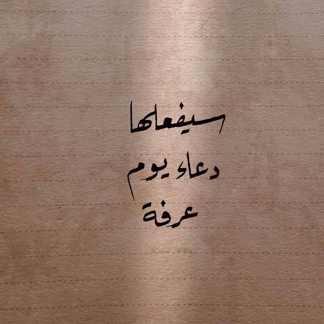 متداول حاليا tweet media