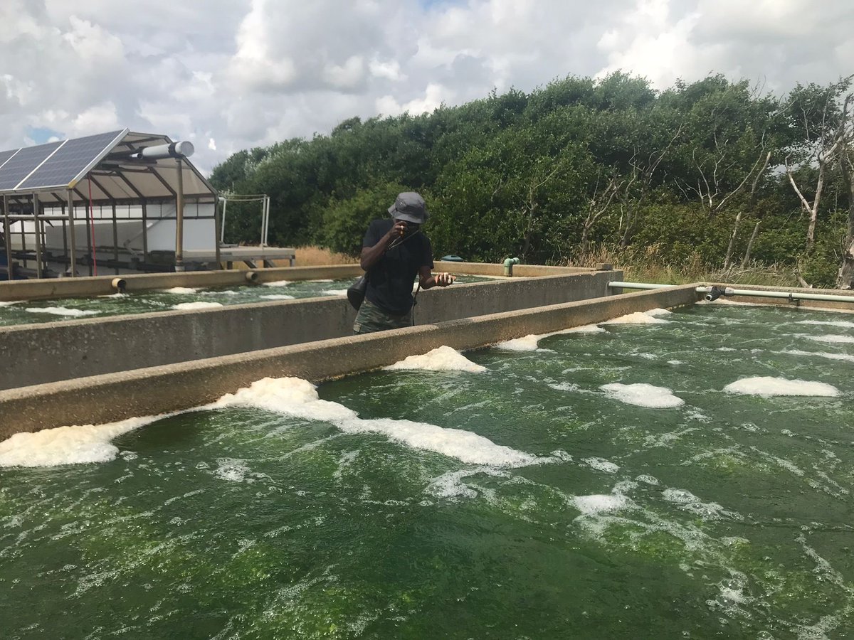We’ve had an immersive and turbulent two days on Texel Island, tasting and testing the brackish waters of seaweed cultivation <a href="/NIOZnieuws/">@NIOZnieuws</a> sea research centre. 

Now off the ferry and headed to IJmuiden and the Port of Amsterdam!