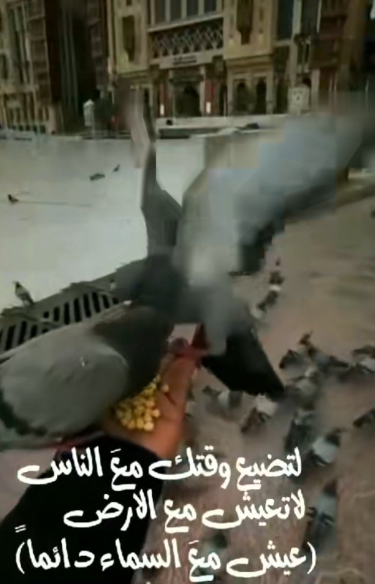 alsadqh1's tweet photo. عامل كل إنسان وكأنك تتعامل مع نفسك : 
- لاتظلمه 
- لاتذله 
- لاتكذب عليه 
- لاتنتقص منه 
- لاتغتابه 
- ولاتحاول قهره لأن الزمن سيدور وتذوق مر مافعلت !! https://t.co/lAnRKafm7G