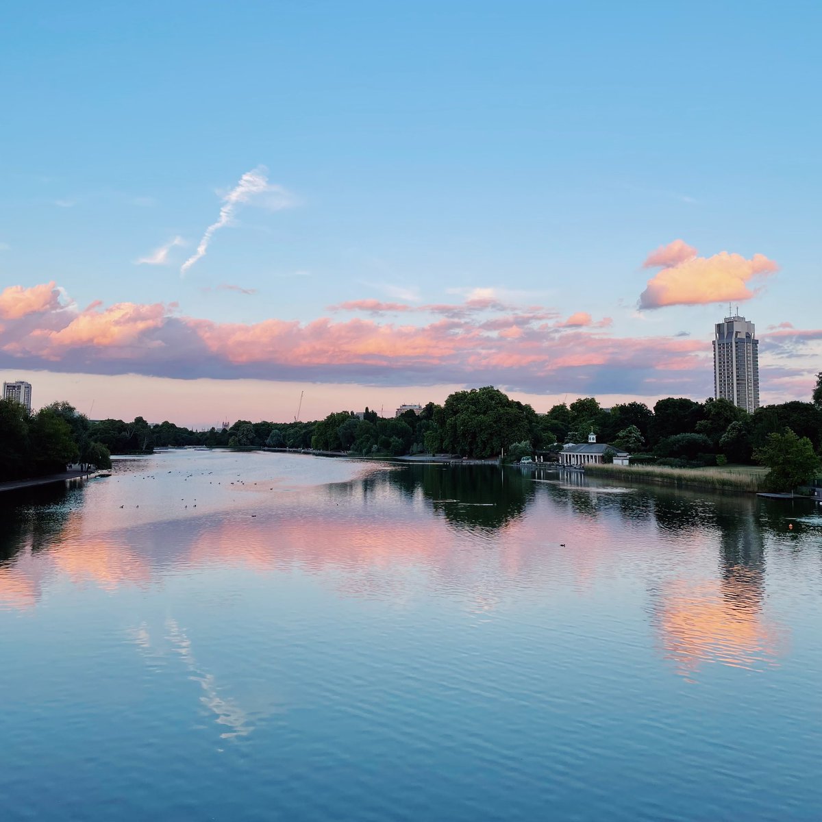 Aleksandra Art 🇺🇦 tweet media