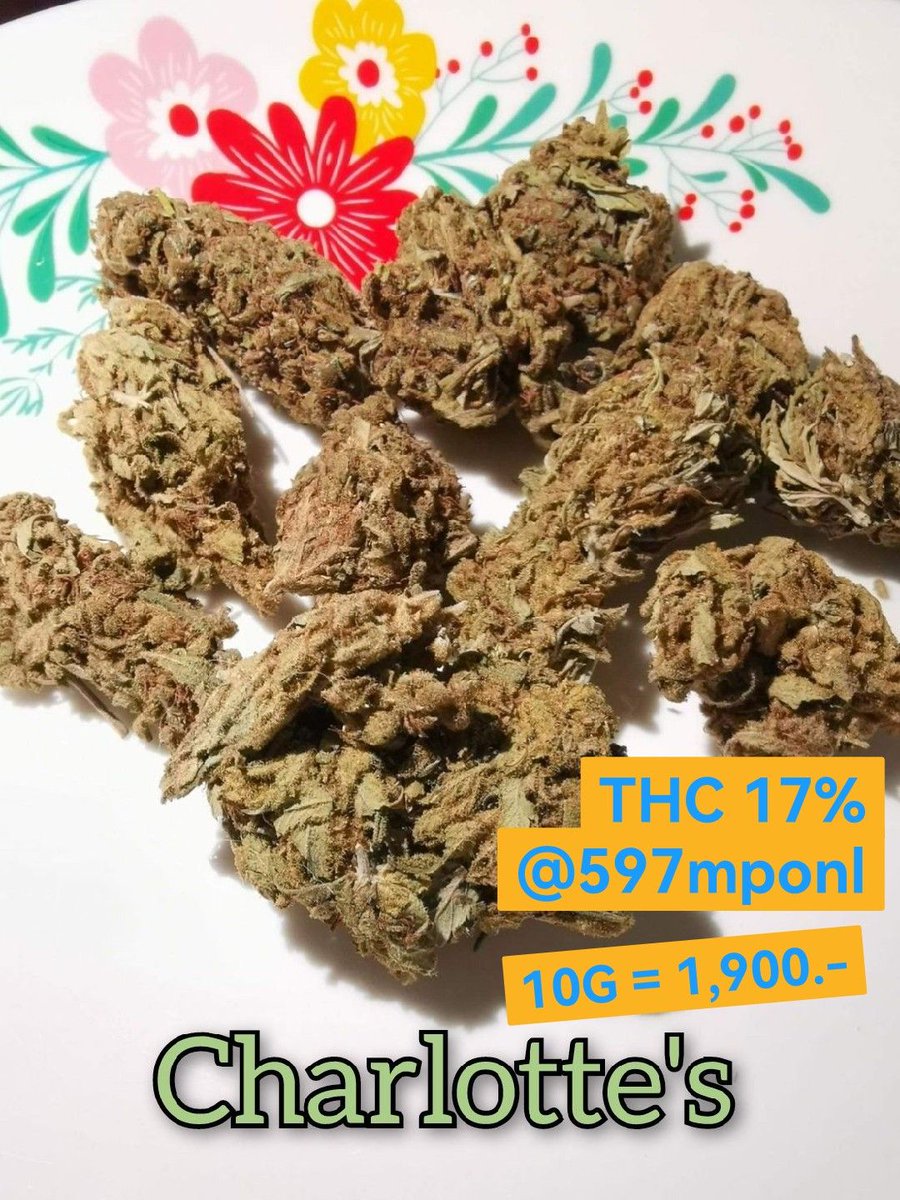 Getkit1's tweet image. Charlotte OG
การันตีเมาชัวร์​👌
เหมาะใช้กลางคืน​ THC 17%
==============
Promotion👍
1G.​   = 190
10G.​ = 1,800
==============
ชมสินค้าอื่นได้ที่​ shop.line.me/@597mponl
ติดต่อ​ Line : @597mponl

#กัญชา #ขายกัญชา #กัญชาเชียงใหม่ #กัญชาออแกนิค #กัญชากรุงเทพ #กัญชาโอจี​ #กัญชาog
