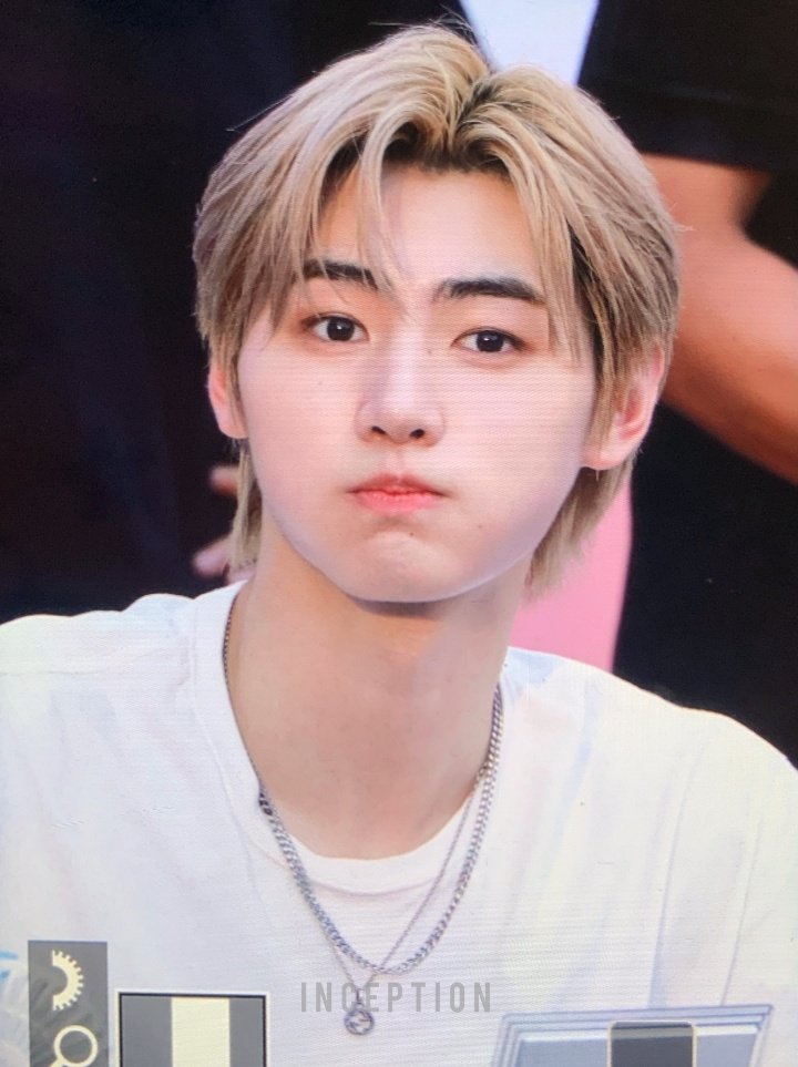 hourly_sh's tweet photo. hes so round ❔😭😭 https://t.co/I7nZKXbhyk