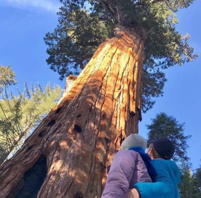 ABCMundial's tweet photo. Majestic Mountain Loop: Un recorrido por tres de los parques nacionales más espectaculares de EEUU
@SequoiaKingsNPS @YosemiteNPS @MajesticMtnLoop @VisitVisalia
#SuzanneBianco #ipw22
@ABCMundial
https://t.co/uJMYZfe2B3 https://t.co/DKc7KoVyQJ