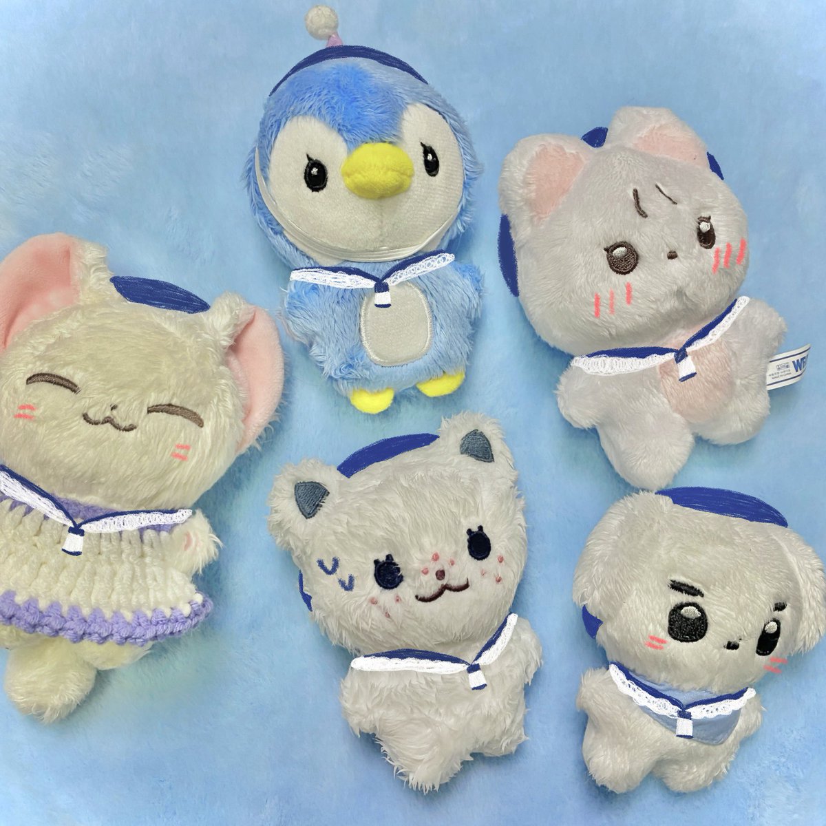 마린룩하면 우리 아기들 질 수 없어요 ᕦ(ò_óˇ)ᕤ!!
제 인형들중에서 파랑이 제일 잘어울리는 다섯명(제 기준)⋯🥹💙

촉촉뽁냥이는 혼자 더워서 수영하고왓대요