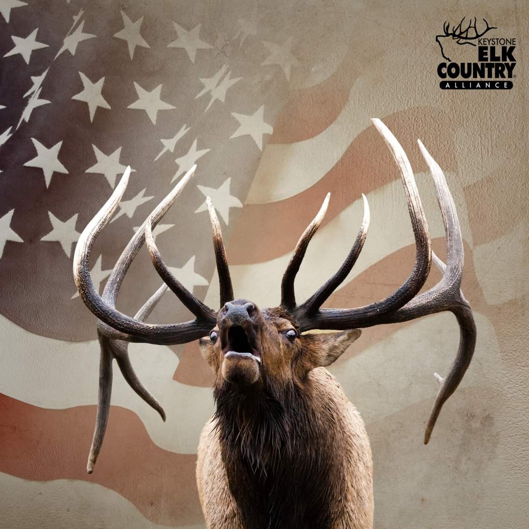 Keystone Elk Country Alliance tweet media