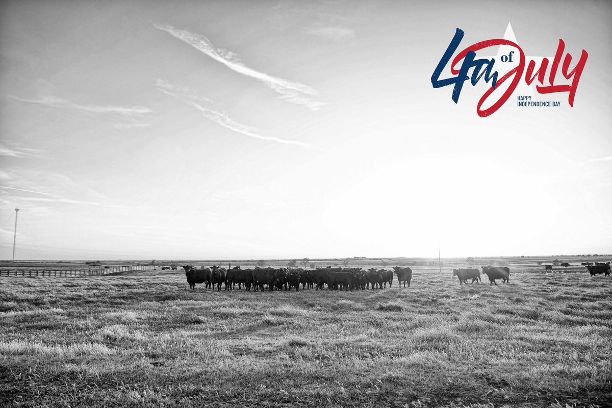 Red, White and Limousin 🇺🇸 Happy 4th of July!

Reminder that the NALF Office is closed today. Normal office hours will resume Tuesday, July 5 from 7:30am to 4pm MST.