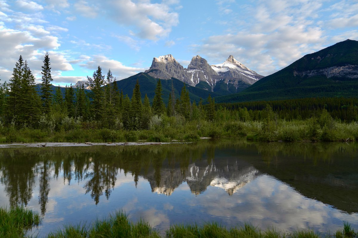 Jonathan Radin tweet media