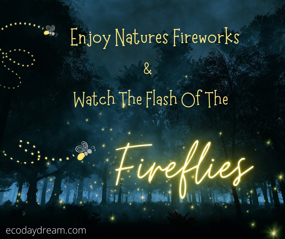 Celebrate freedom safely and sustainably while skipping the loud fireworks and sharing a relaxing moment in nature.🌿🦋 Countless wild animals and pets will thank you for the peace, quiet and respect during your festivities ♥🐾 #Happy4thofJuly #FourthofJuly #naturelovers #pets