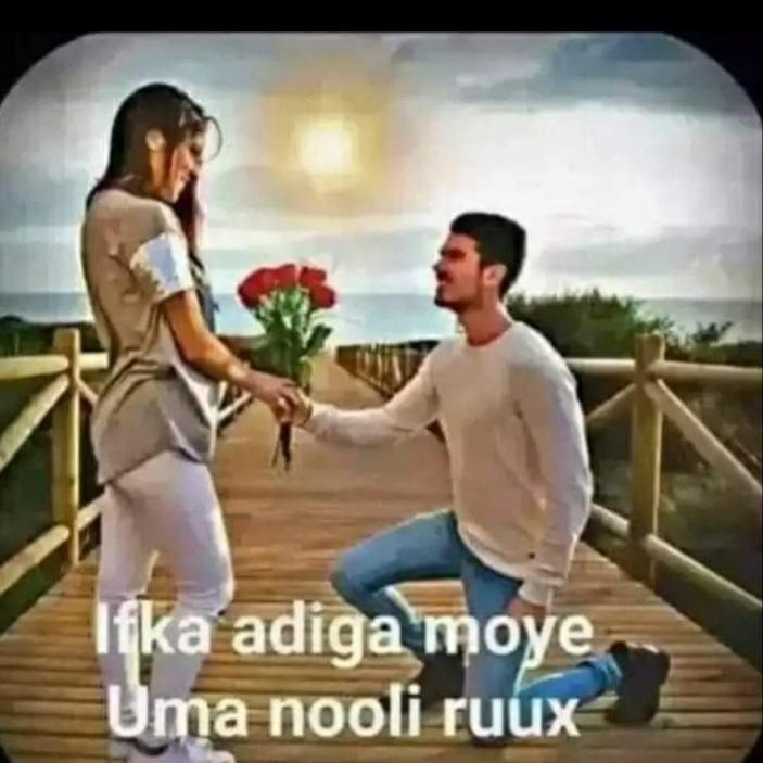 AadnShamsa's tweet photo. #NewProfilePic https://t.co/n1vVgXVTV7