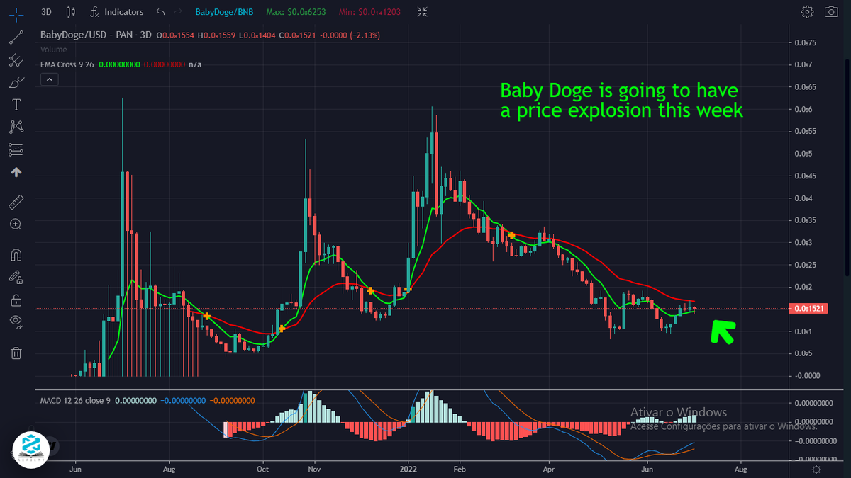 BabyDoge Community fan tweet media
