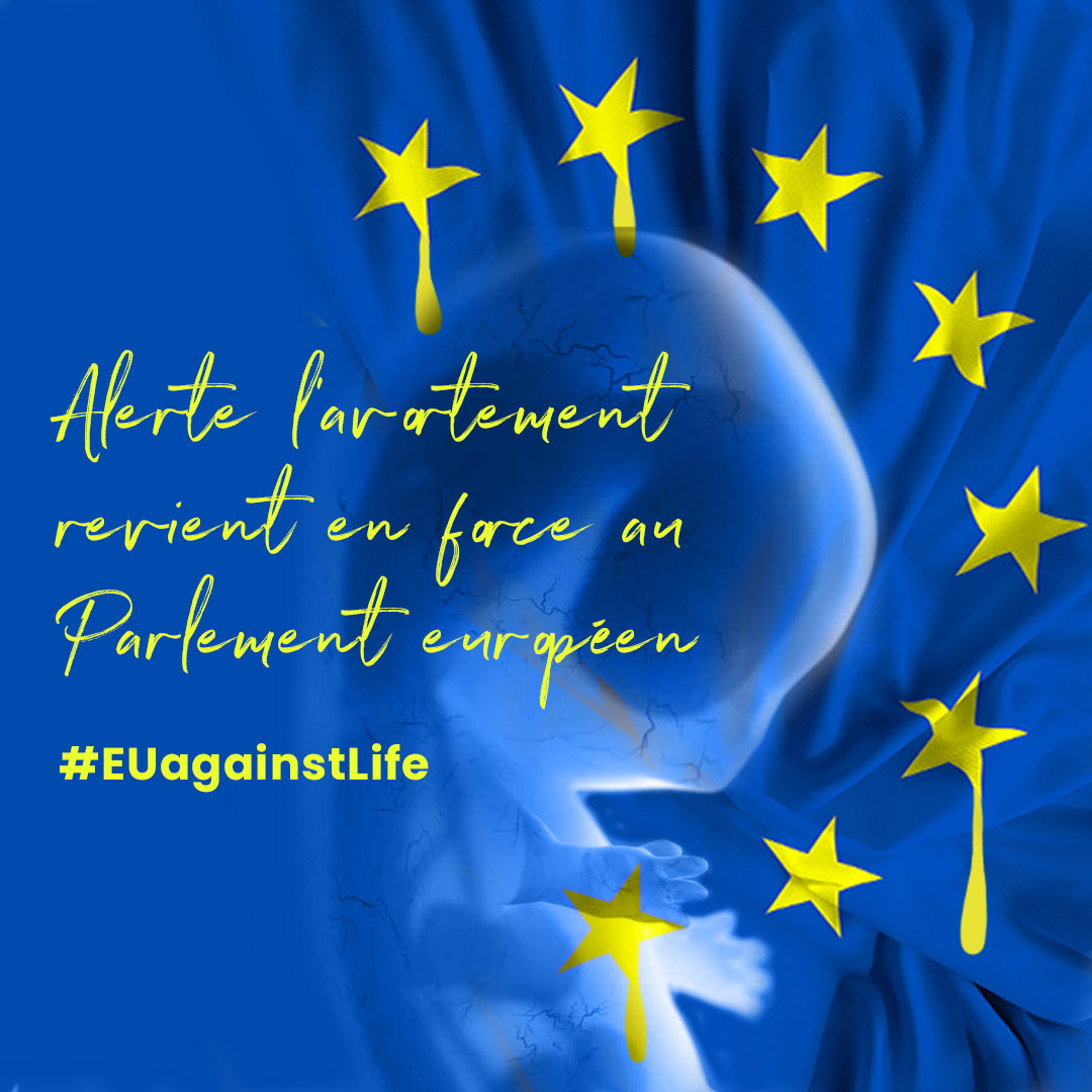 Fédération Un de Nous tweet media