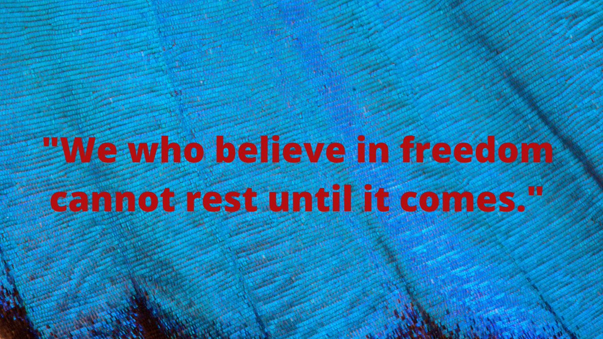 justice4julius's tweet image. Free Julius Jones.