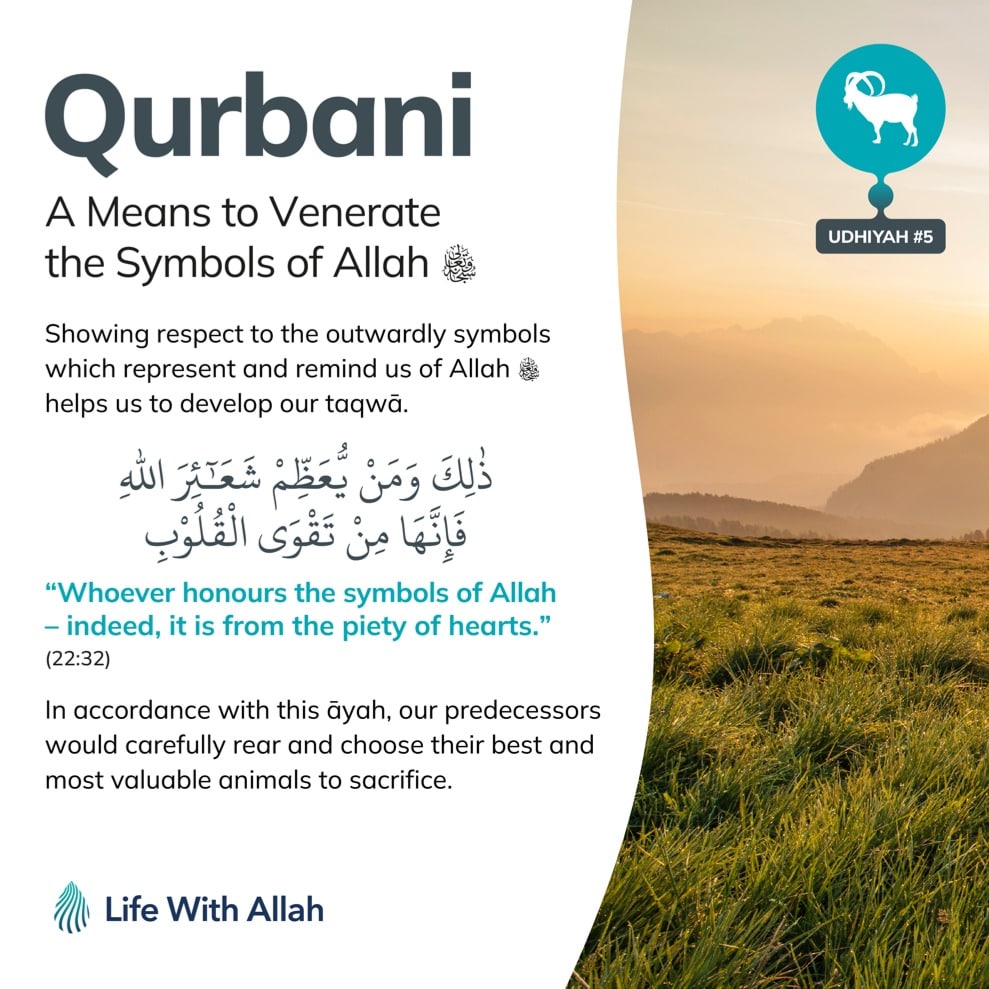 Life With Allah - الحياة مع الله tweet media