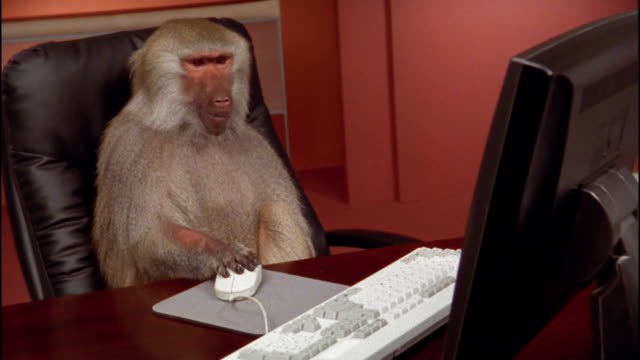 DAO Intern tweet media