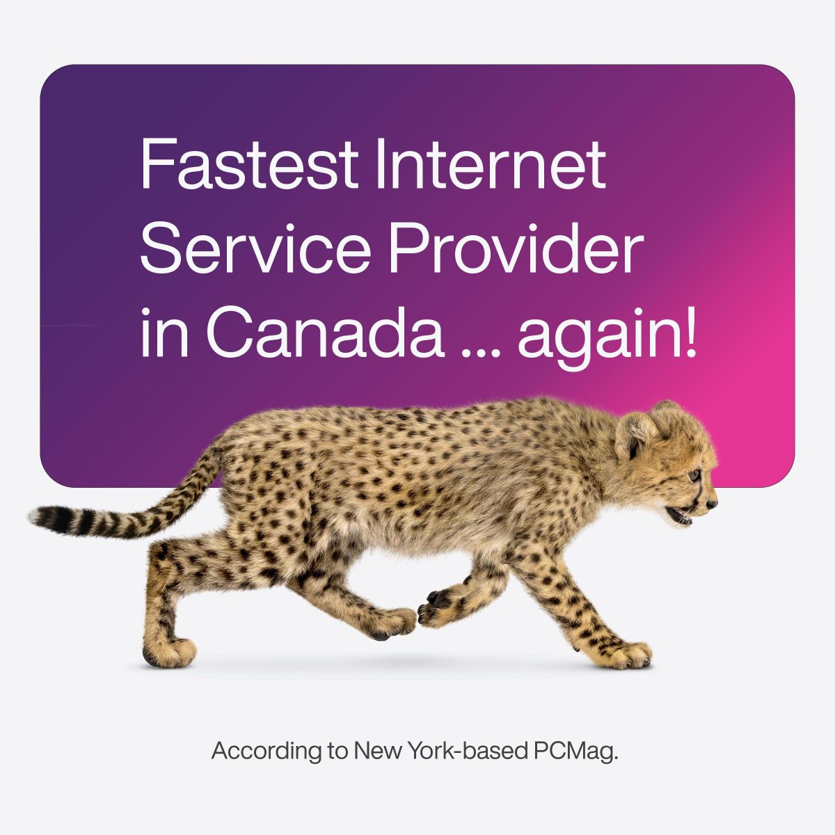 KevynMcGregor's tweet photo. Best network, best organization, best people! So excited that @TELUS was named the Fastest Major ISP in Canada for the 3rd year in a row by @PCMag π #LifeAtTELUS Check it out: https://t.co/jCYkfZF7ih https://t.co/HLi3b8XIuQ