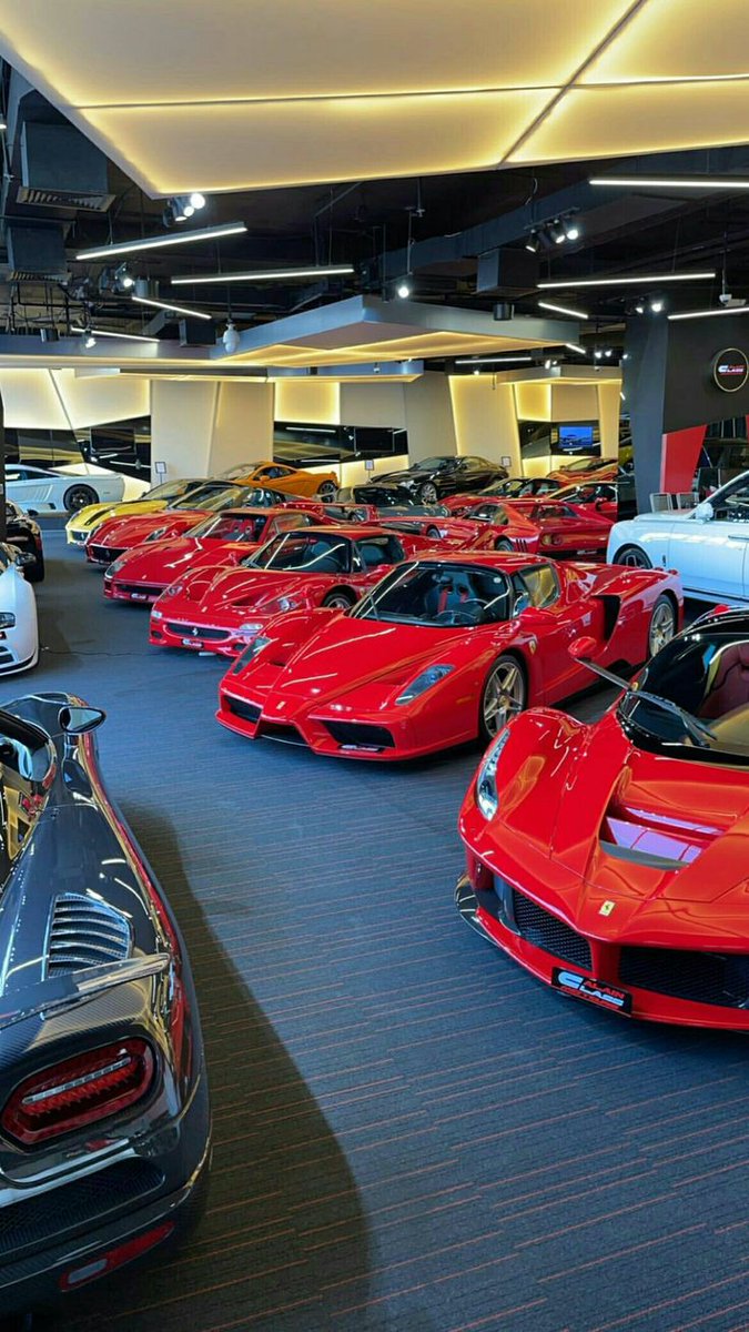 Garage Mike 🇮🇹 tweet media