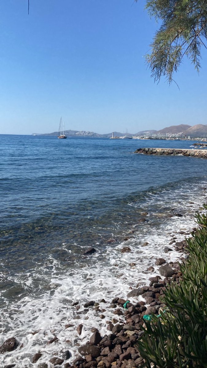 #bodrum #turgutreis #yaz ✅