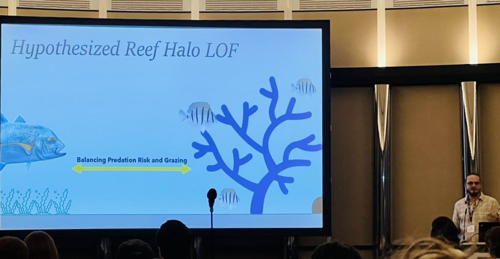 Great first big conference talk of the PhD by <a href="/Zackropora/">Zack Rago</a> at <a href="/ICRS_2022/">ICRS 2022 - 15. International Coral Reef Symposium</a> in Bremen, Germany. :) Summary: lots of potential factors may contribute to halos, but mesocosm experiments show predation risk alone can create halo patterns.