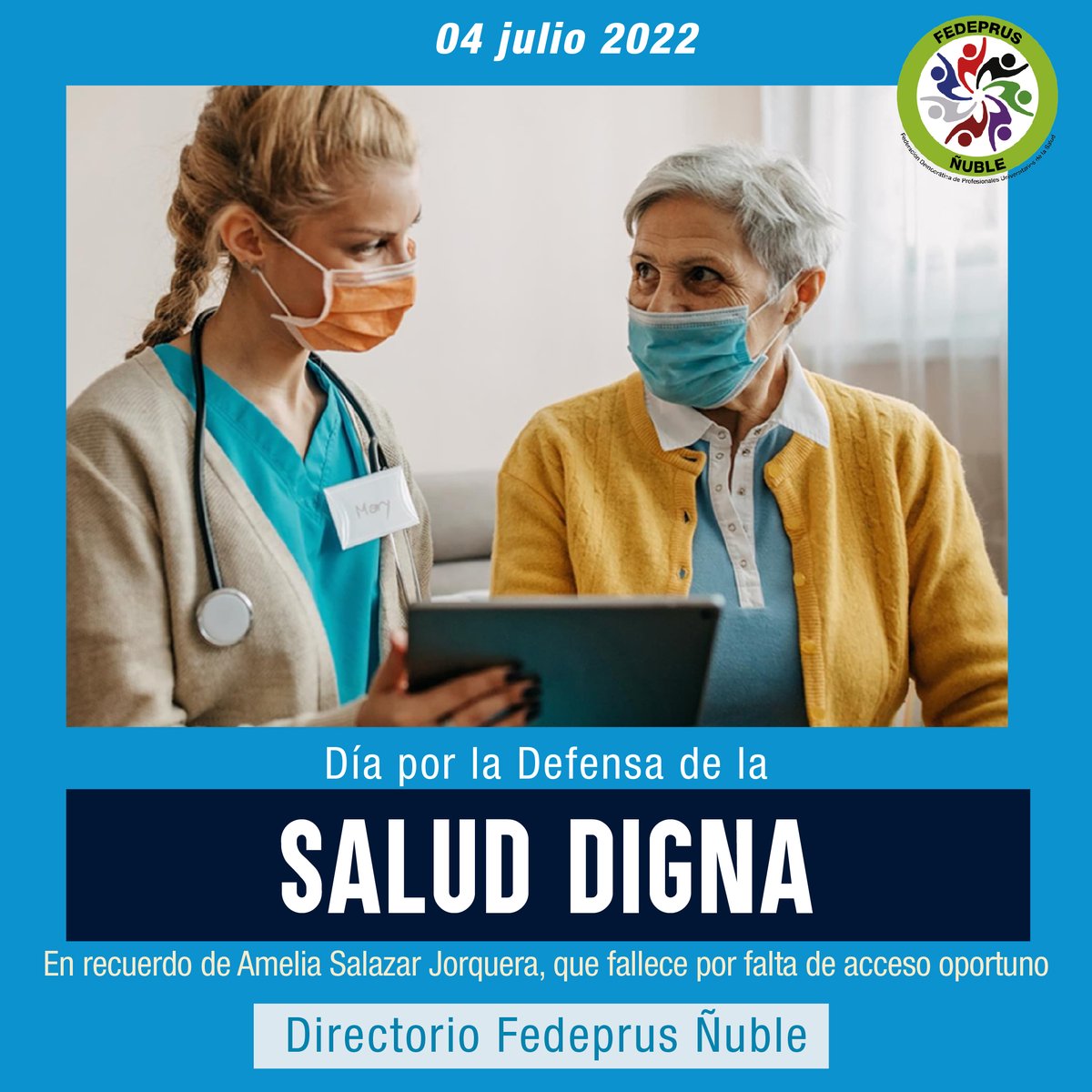 Se fija en el calendario nacional el 4 de julio de cada año como el “Día por la defensa de la salud digna”. Busca conmemorar a Amelia Salazar Jorquera y a todas las personas que han fallecido por falta de acceso oportuno a una atención de salud.