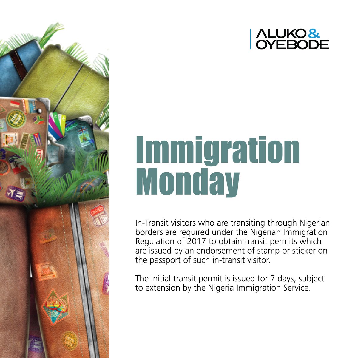 Aluko_Oyebode's tweet photo. ๐ #ImmigrationMonday ~ Nigerian Immigration Regulation of 2017 requires that every in-transit visitor transiting through Nigerian borders should obtain transit permits from the Nigeria Immigration Service.
#AlukoandOyebode #ImmigrationLaws #ALNxAO https://t.co/D59mI2rvBe
