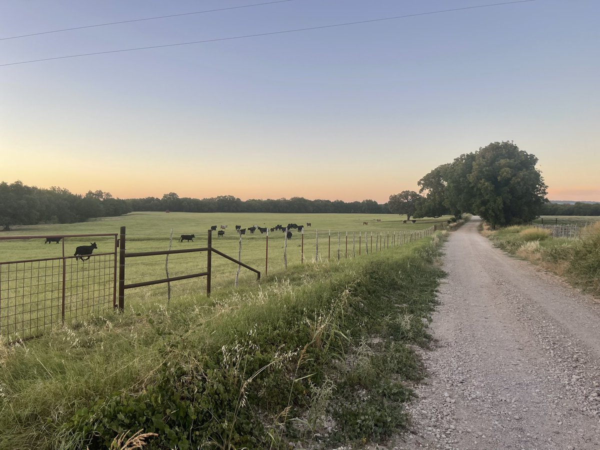 coveredmranch's tweet photo. 8 miles earlier &amp; stretching. You can see the deer standing in the road staring at me. If I don’t start out my day with physical activity I’m just not worth much. I bet it’s like those that need their coffee in the mornings #xoskinusa #xotoes #fitness #beeflovintexans #beefteam https://t.co/JfHji9aSa9