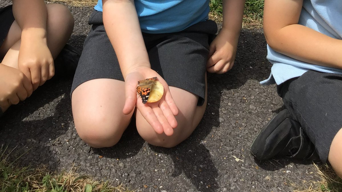 stmarks_primary's tweet photo. The perfect, sunny day to release Reception's butterflies in the church grounds. We hope to see them  around Hadlow Down. 🦋 https://t.co/bAUXSzrjes