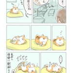 寝ていても飼い主の帰宅に気付くと･･･!可愛くて癒される愛犬のエピソード!