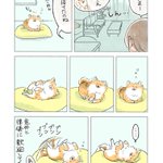 寝ていても飼い主の帰宅に気付くと･･･!可愛くて癒される愛犬のエピソード!