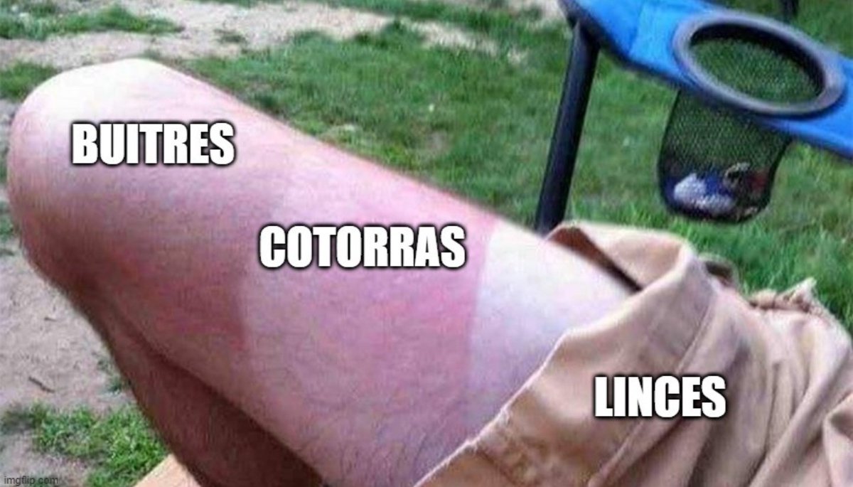 Chiringojugger's tweet photo. Enhorabuena al podio de la I Liga Andaluza. https://t.co/VKNfTkFhHb