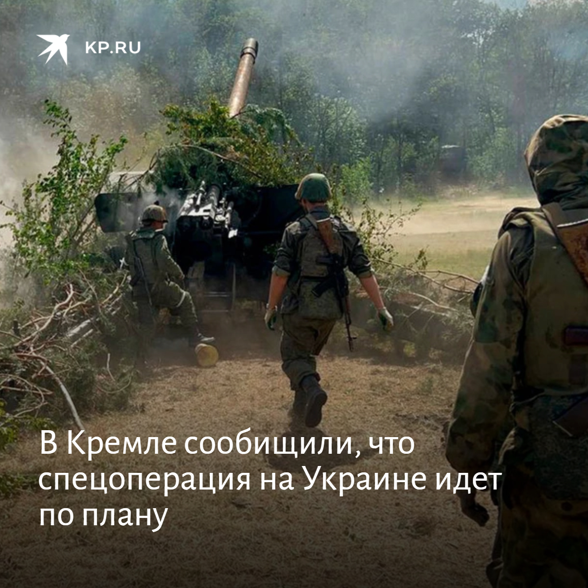 Спецоперация идет по плану мем