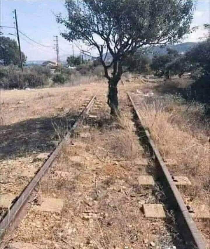 هذه الشجرة أستغلت غياب القطار فأستولت وستحوذت على طريقه ...

ولكن ذات يوم سيعود القطار فيجتثها من عروقها بعاصفة سريعة ...
هكذا بعض البشر حين غاب قطار الحق أستولو على طريقه فتمكنوا وحكموا فيه بالباطل ...
ولكن ذات يوم سيعود قطار الحق فيجتث عروق الباطل إن الباطل كان زهوقاااا ...