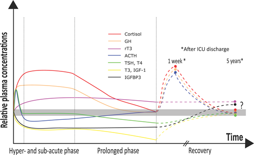 PPPublishing's tweet photo. Are neuroendocrine responses to sepsis such as the acute fasting response harmful or beneficial? @ATeblick et al. emphasise the need for personalised medicine in new #ClinSci review https://t.co/sbAFEdbUrq https://t.co/RHEThqAIBa