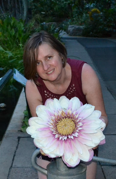 Botanical Art and Artists tweet media