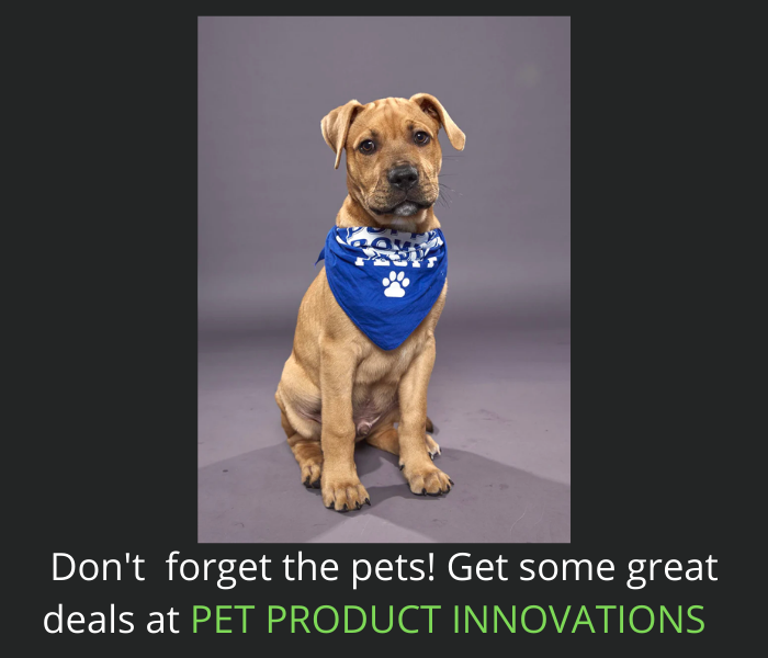 Innovative products for your pets including the Bandana Bowl! Check them out here - ow.ly/qhfE50JNIVx

#pets #bandanabowl #4thJuly #innovation