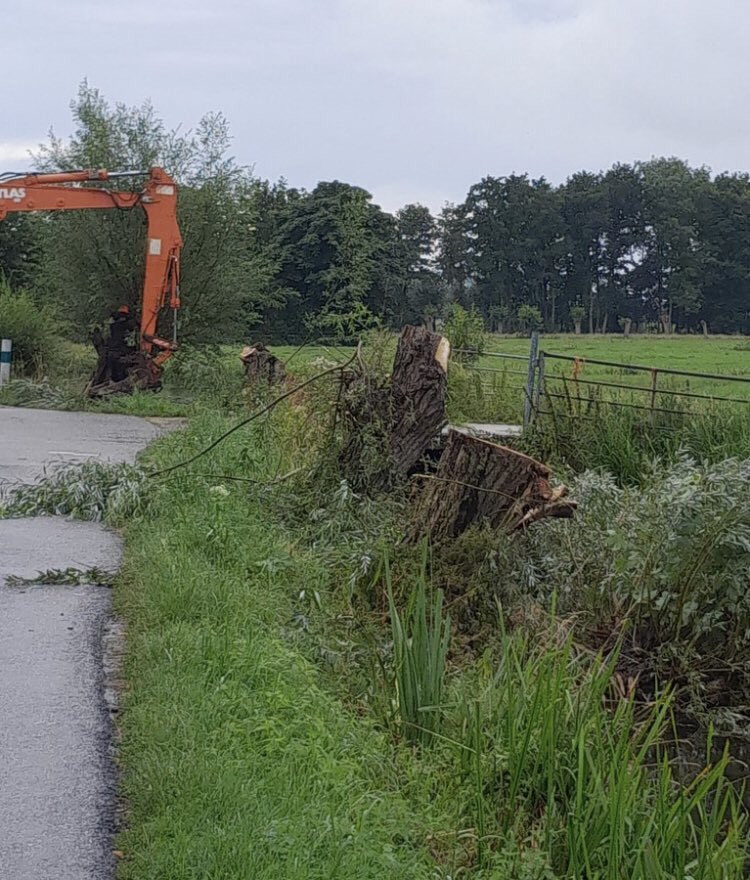 SarahMya2000's tweet photo. De subsidieslurpende boerenterrorist en @SGPnieuws-raadslid, #FloordeJong, die 100 oude knotwilgen omzaagde, kreeg 434.151,11 euro landbouwsubsidie. Waarvan 83.877 euro voor ‘klimaat- en milieuvriendelijke landbouwpraktijken’
#trekkerterroristen #boereninopstand #boerenopstand https://t.co/cMkhycmOqP