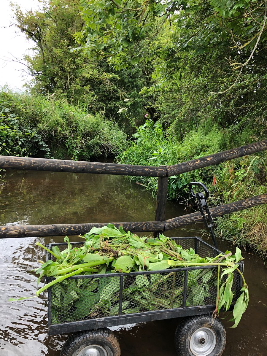 Trent Rivers Trust tweet media