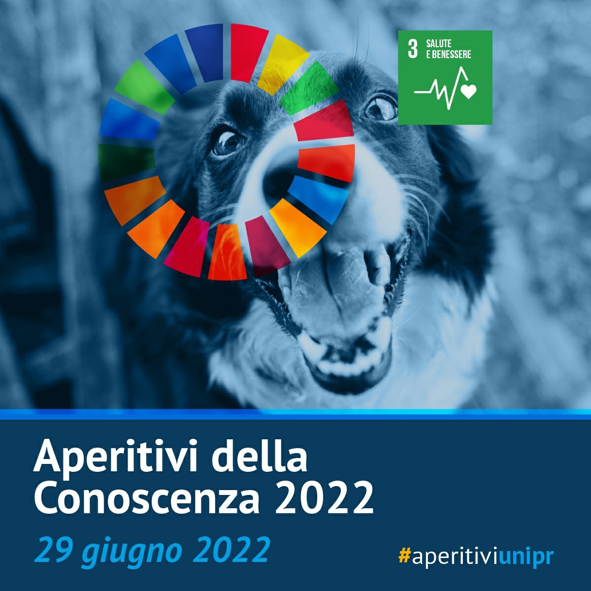 Facciamo Conoscenza tweet media