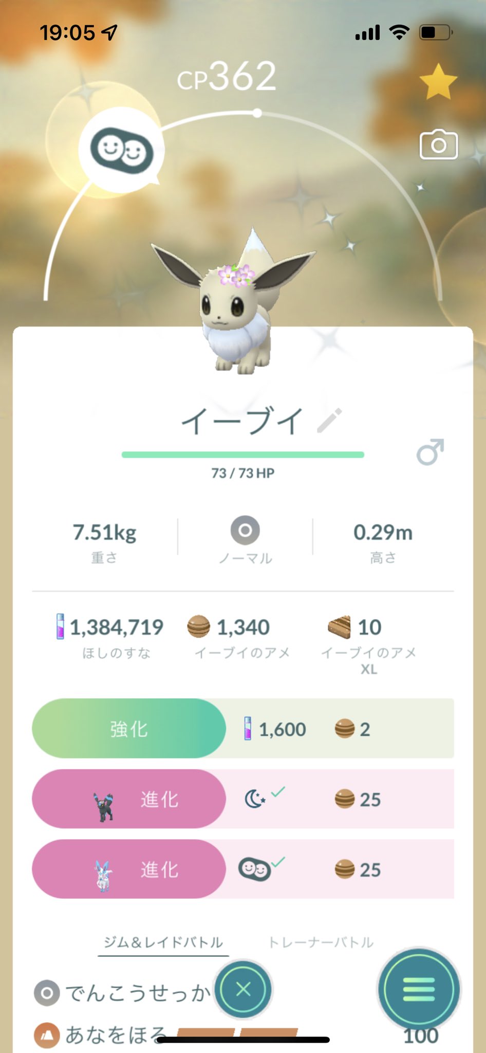 トモ ポケモンgo おや 色違い花イーブイの様子が いつぞや捕まえて相棒にしていた色花イーブイさん 個人的に花の似合うブイズに進化させたいけど リーフィアか グレイシアか ニンフィアか そのまま進化させずに残しておくのも含めて 迷ってます