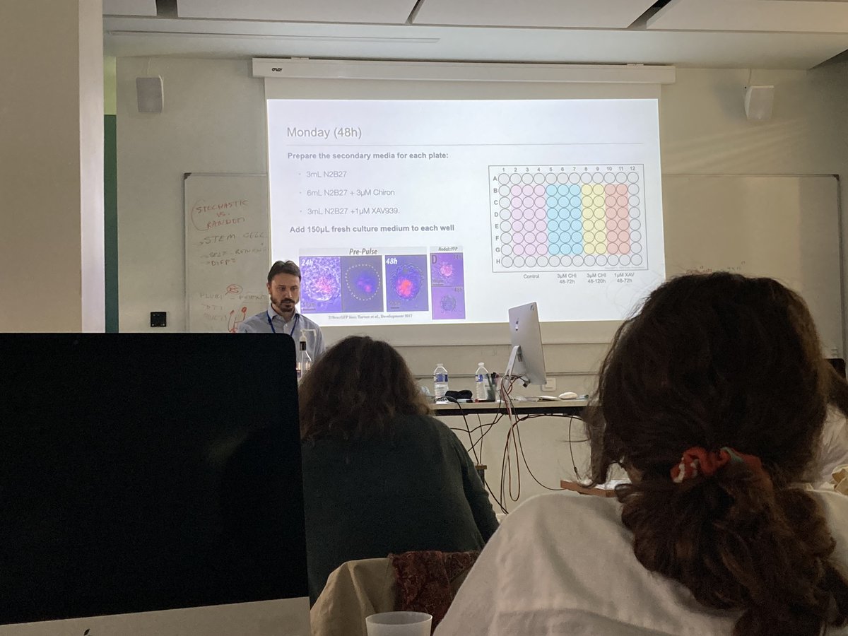 Advances in Stem Cell Biology Course @institutepasteur continues. Today looking at muscle stem cells and sprinkling Chiron onto ES cell aggregates to turn them into #gastruloids