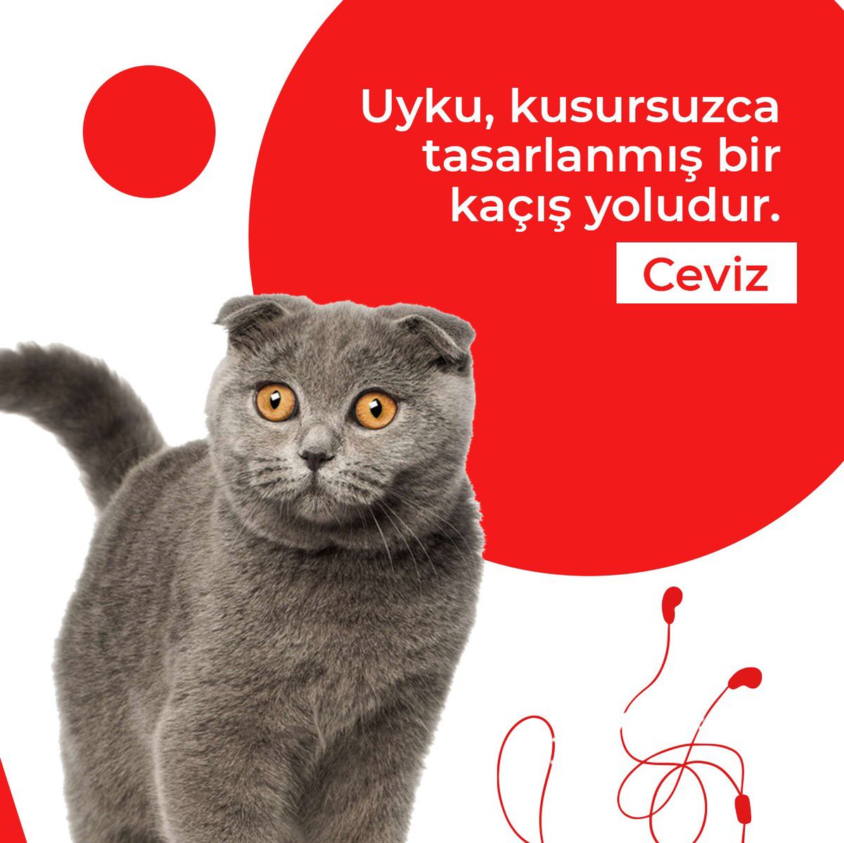 cevvizcom's tweet photo. https://t.co/R8PomtTV63