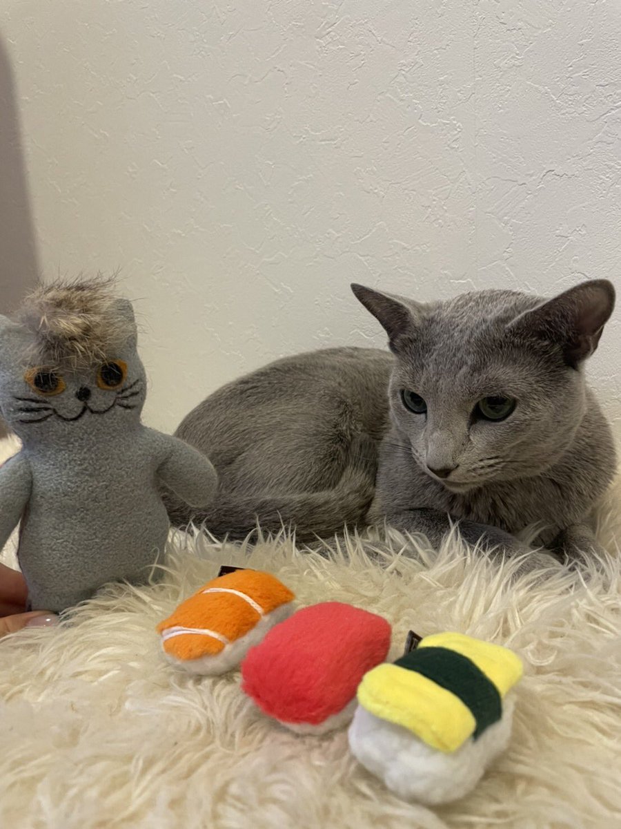 いらっしぇえ🍣