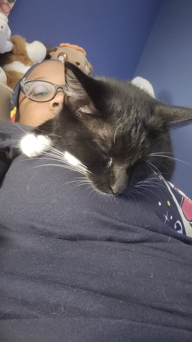 sailorxtasy's tweet photo. #tittykitty strikes again https://t.co/h54uEfLpuf