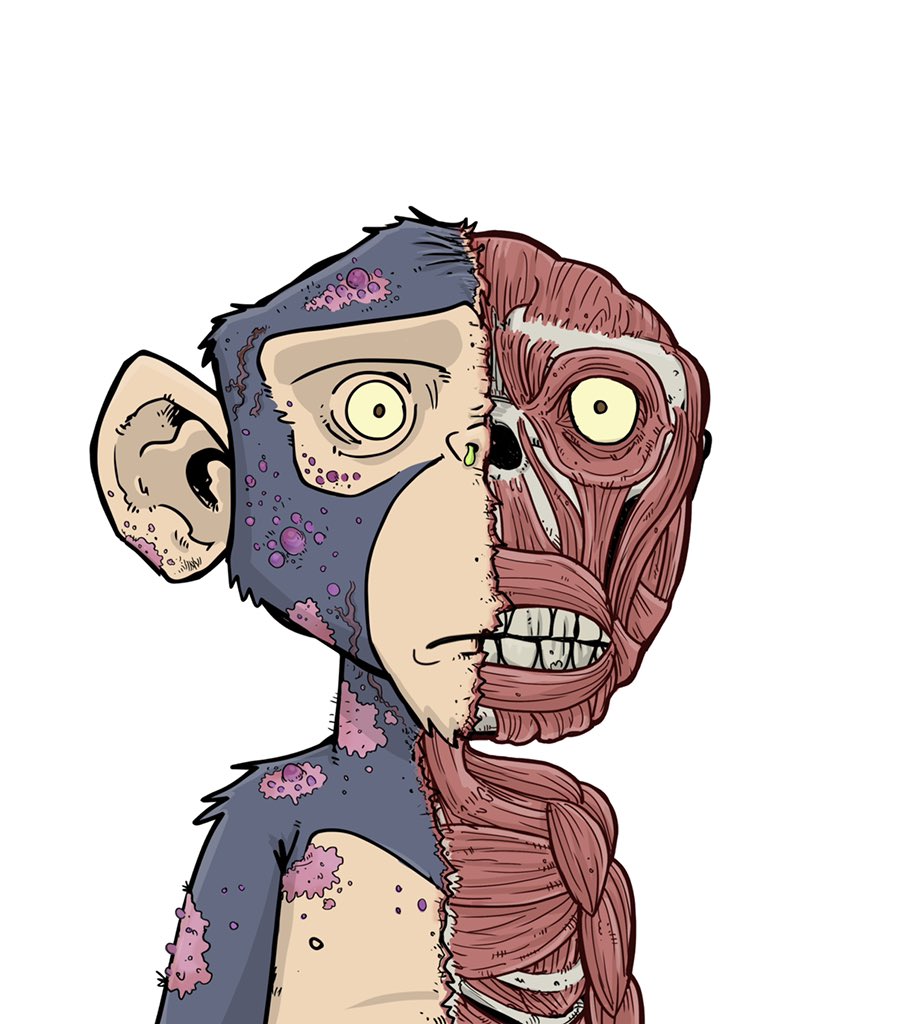 TheLostApesNFT's tweet image. #NewProfilePic