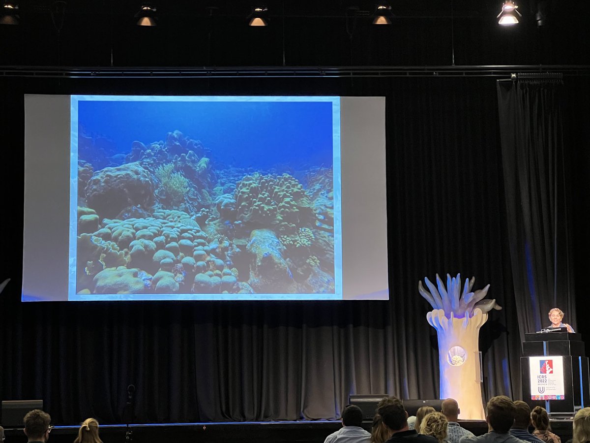 Serena Hackerott (@snhackerott) on Twitter photo Caren Eckrich highlights local management success and resilient reefs on #Bonaire! <a href="/STINAPABonaire/">STINAPA Bonaire</a> #ICRS2022 Caren Eckrich highlights local management success and resilient reefs on #Bonaire! <a href="/STINAPABonaire/">STINAPA Bonaire</a> #ICRS2022