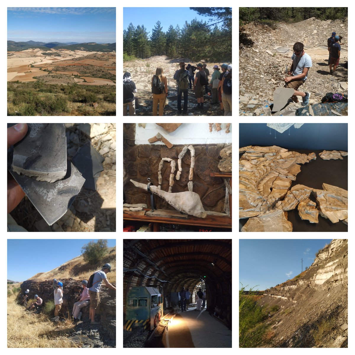 It was a great pleasure to welcome our colleagues in Valencia at the <a href="/ISELV_Valencia/">16th ISELV</a>. We had a lovely time during both the meeting and the post-conference fieldtrip. Lots of fossils and good food 🐟🥘. See you all in Canada!