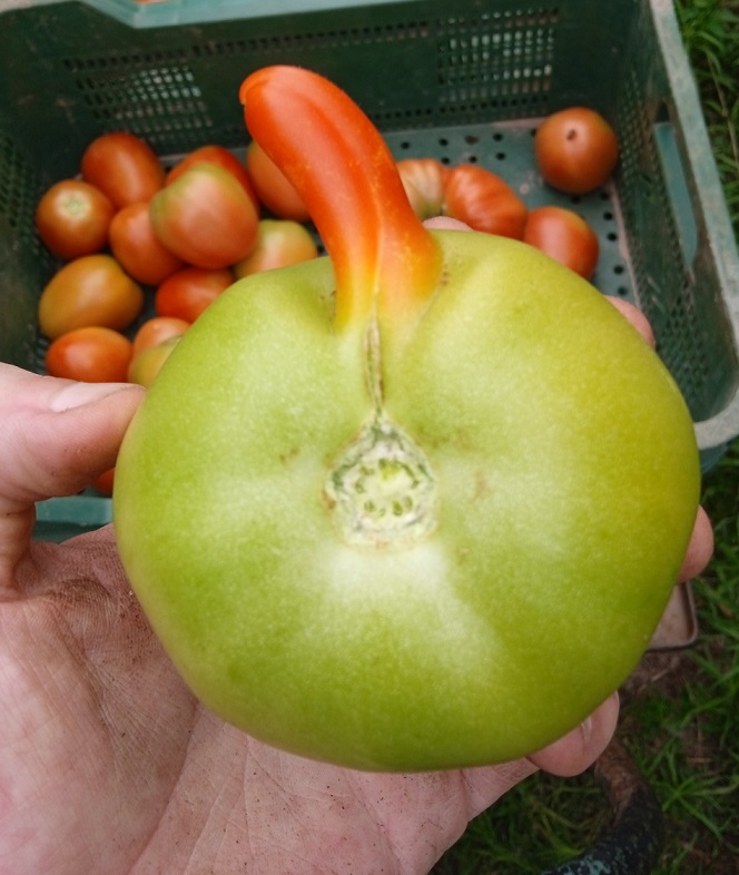 PianeNO's tweet photo. "Os ven como un trozo de carne, pero yo no soy como ellos, soy aliado y lucho por deconstruirme día a día"

Representación en la naturaleza: https://t.co/3geXXFLjJ8