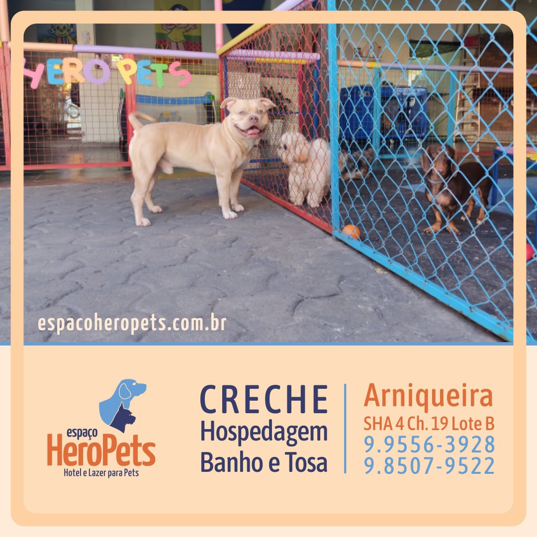 EspacoHeroPets's tweet image. Espaço para seu Pet 🐾 com estrutura para brincar e fazer amizade. Ou apenas para relaxar com um super banho. 🐶 Venha conhecer: EspacoHeroPets.com.br.
