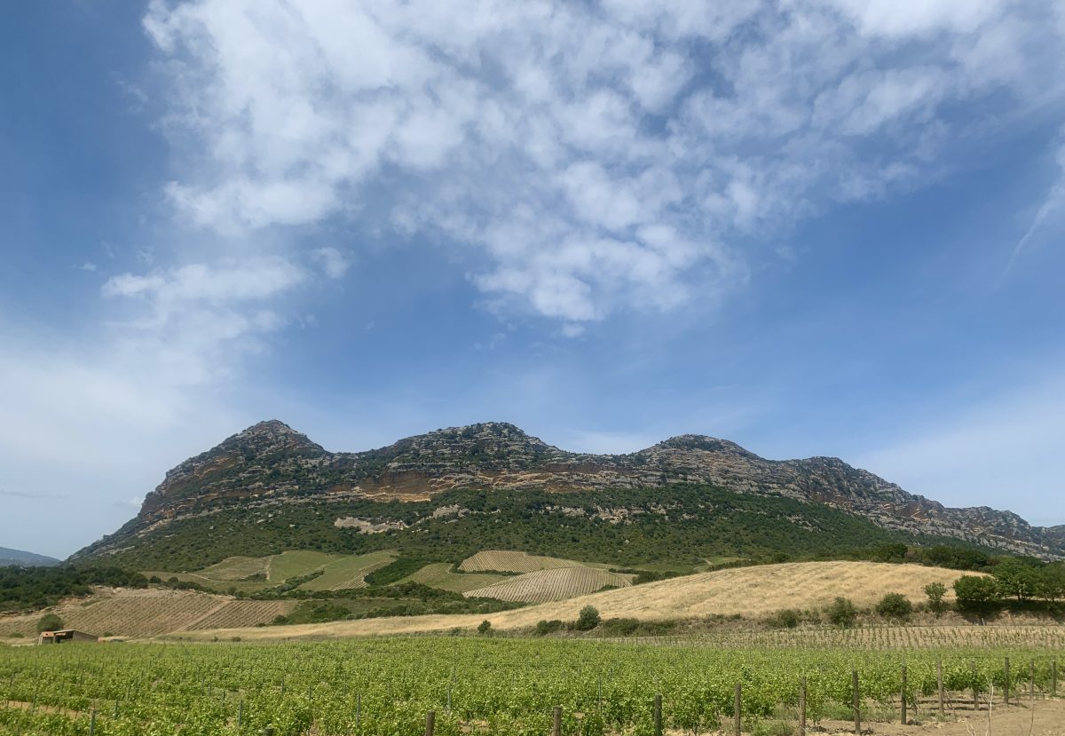 Le #vignoble #Corse, un exemple à suivre 🌿

L'#AOC #Patrimonio a inscrit dans son cahier des charges l'interdiction d'utiliser des désherbants chimiques de synthèse, décision prise à l'unanimité 🍇 <a href="/vinsdecorse/">Vins de Corse</a> 

<a href="/TerredeVins/">Terre de Vins</a> <a href="/FrederiqHermine/">Frédérique Hermine</a>  
👉 bit.ly/3yyScg7